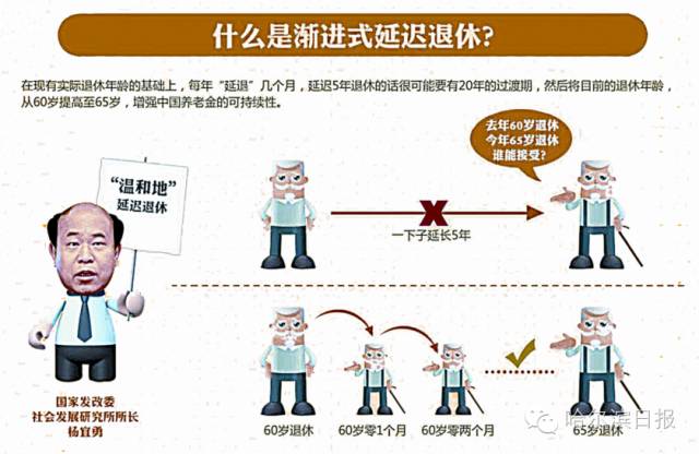 渐进式延迟退休最新方案，探索与实践成果展示