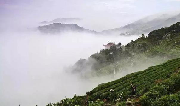 火山最新动态，地貌活跃特征与潜在地质活动分析