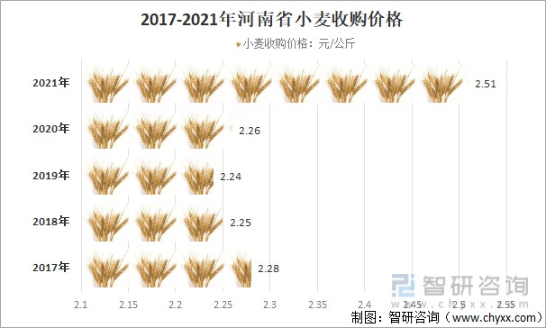 最新小麦期货行情分析与走势预测