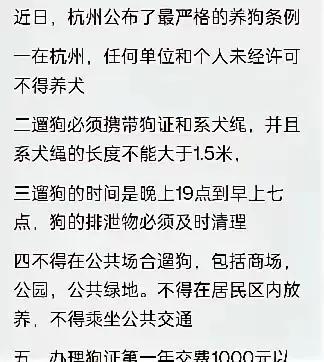 杭州最新养狗规定，打造人犬和谐共融的城市环境