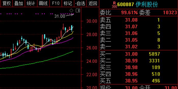 伊利股票最新动态，市场走势及前景展望