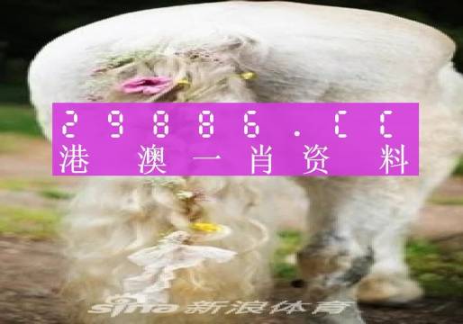 澳门必中一肖一码四不像,实效设计策略_网页版53.631