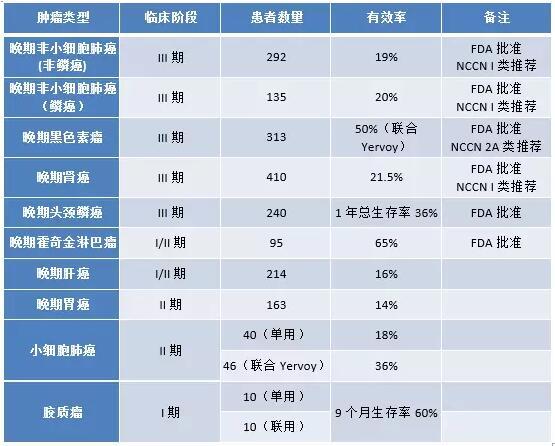 落幕流苏 第8页