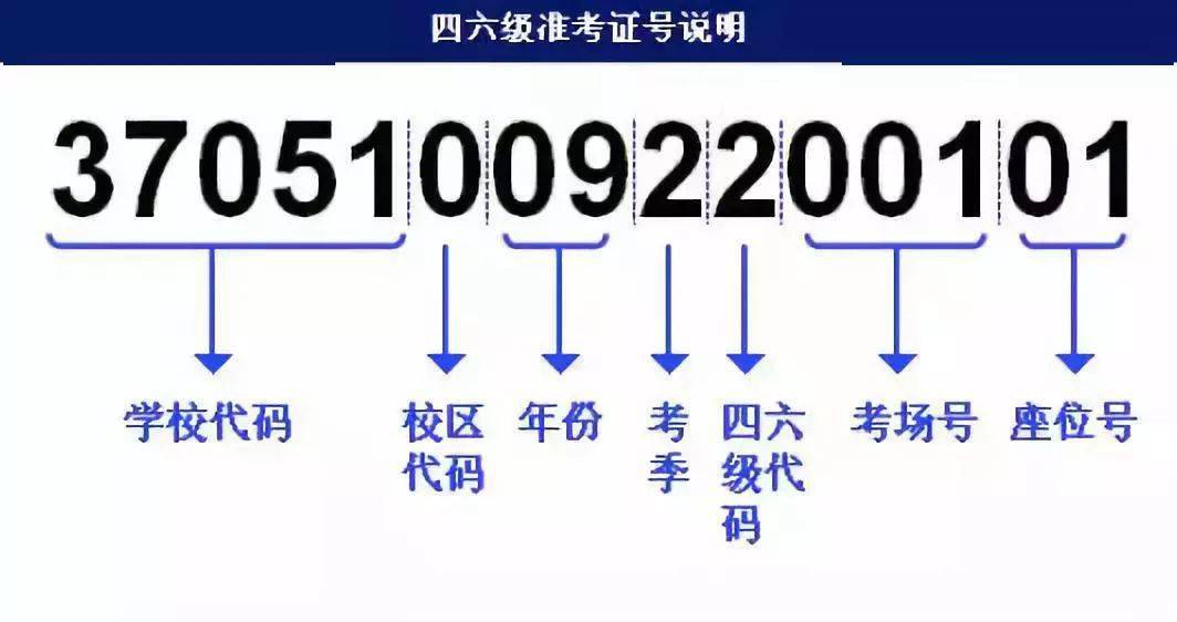 新澳门精准资料大全管家婆料,可靠执行计划策略_特别款55.29