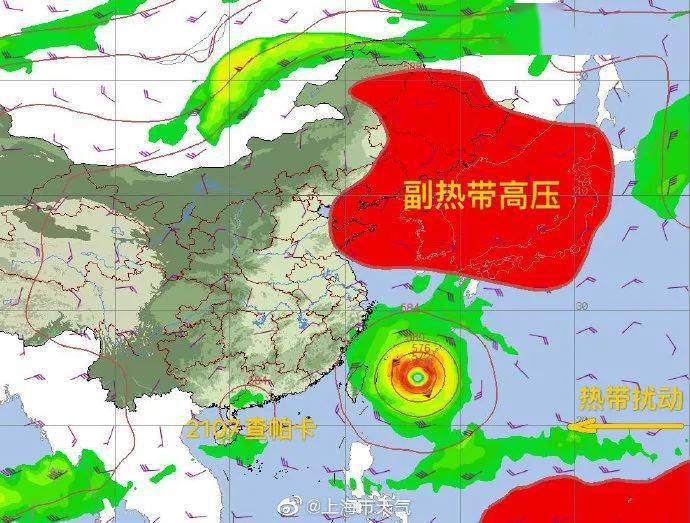 全球台风最新动态，观察与应对策略