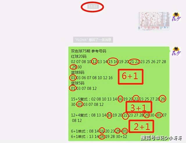 白小姐今晚特马期期准六,理论分析解析说明_AP95.883