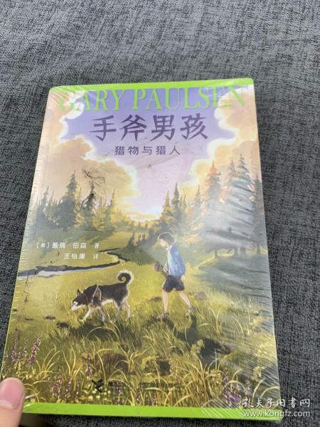 手斧男孩，一次独特的冒险之旅下载体验