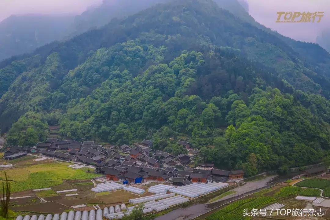 城市新韵律，最新广场舞展现活力风采