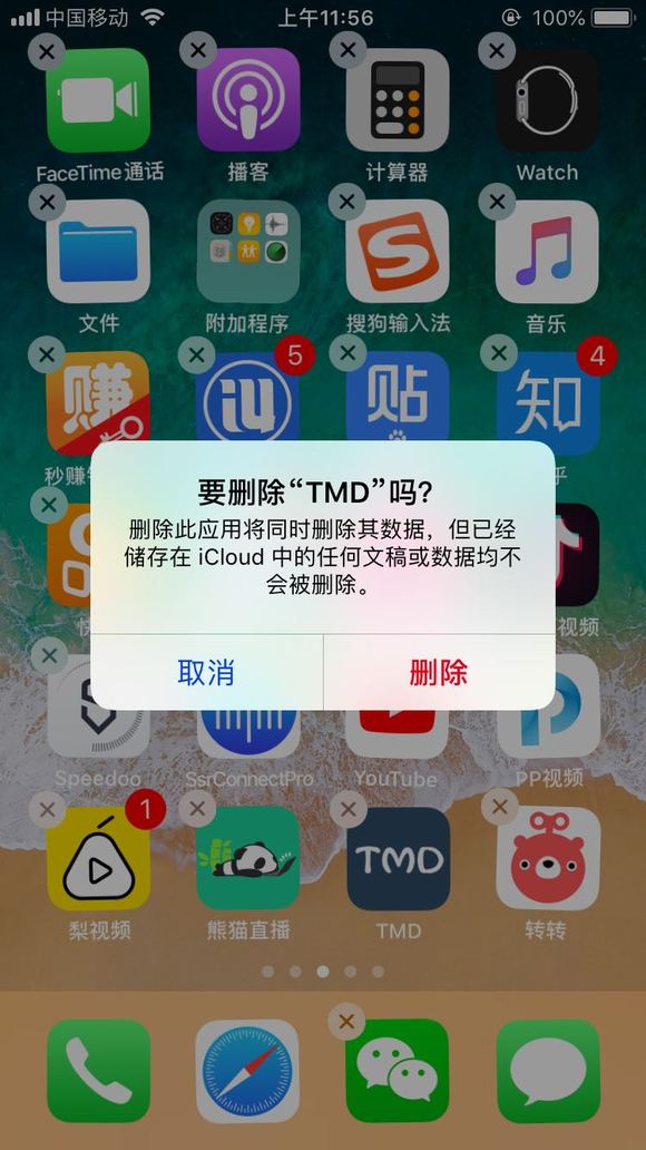 iOS系统下载汤不热应用指南