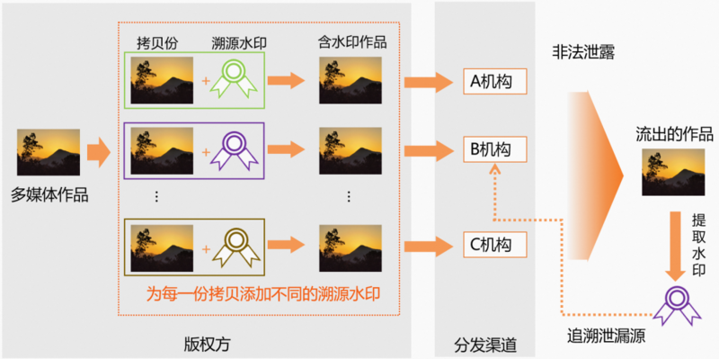 2024香港正版资料免费盾,灵活操作方案设计_T60.175