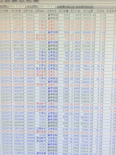 新奥彩294444cm,实地研究解析说明_策略版95.228