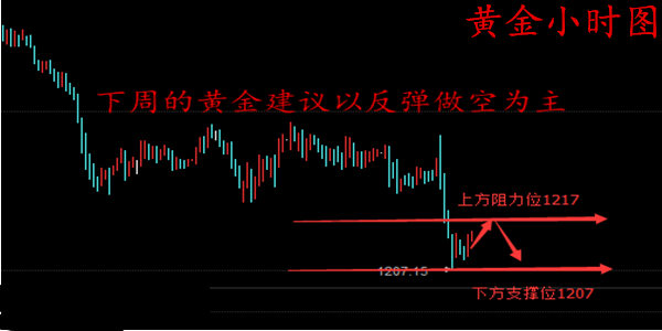 2024澳门天天开好彩大全开奖记录走势图,数据解析支持方案_专业款23.41