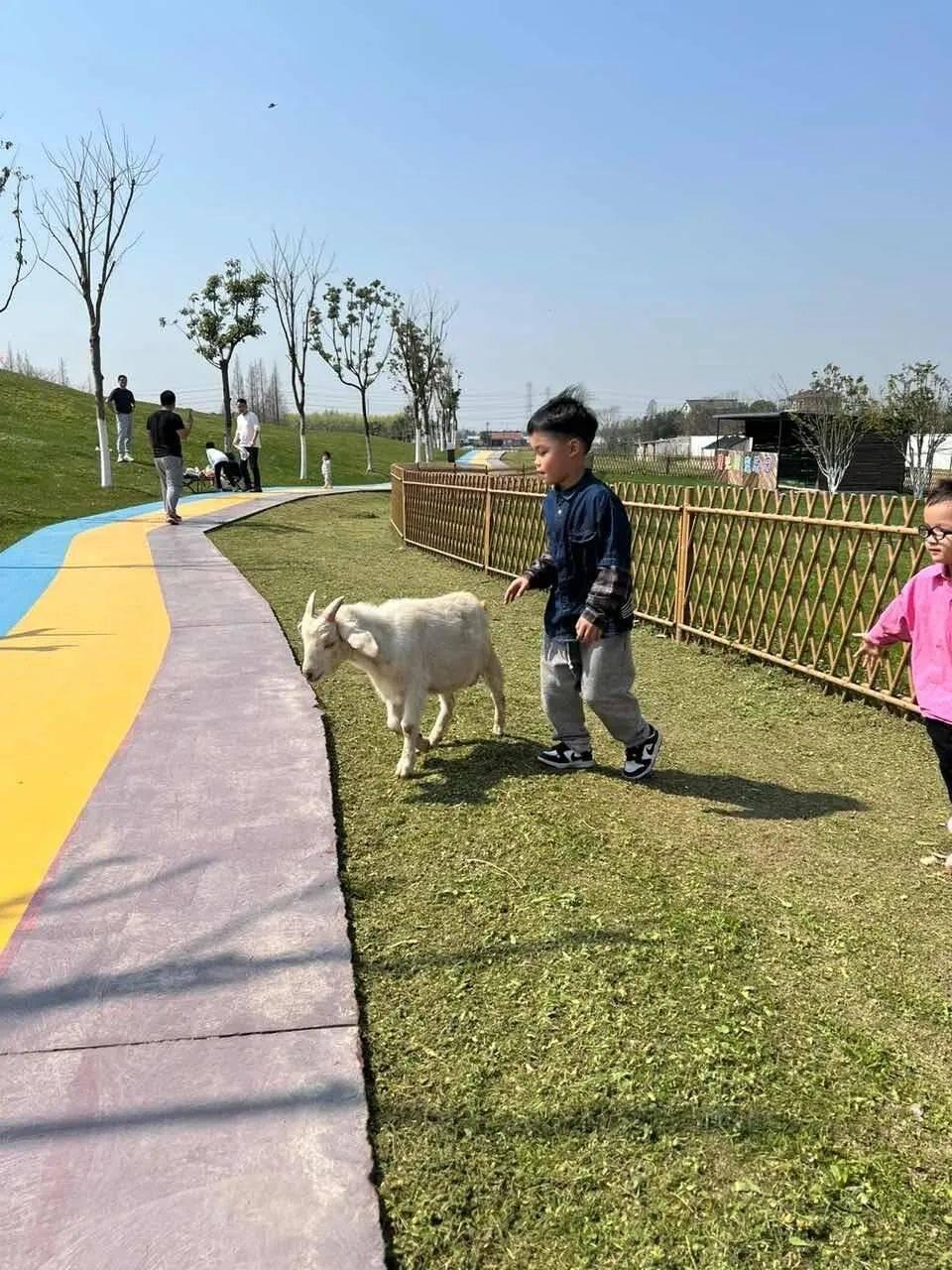 嘉兴幼儿园招聘启事，寻找幼教精英，携手共筑美好未来教育梦想