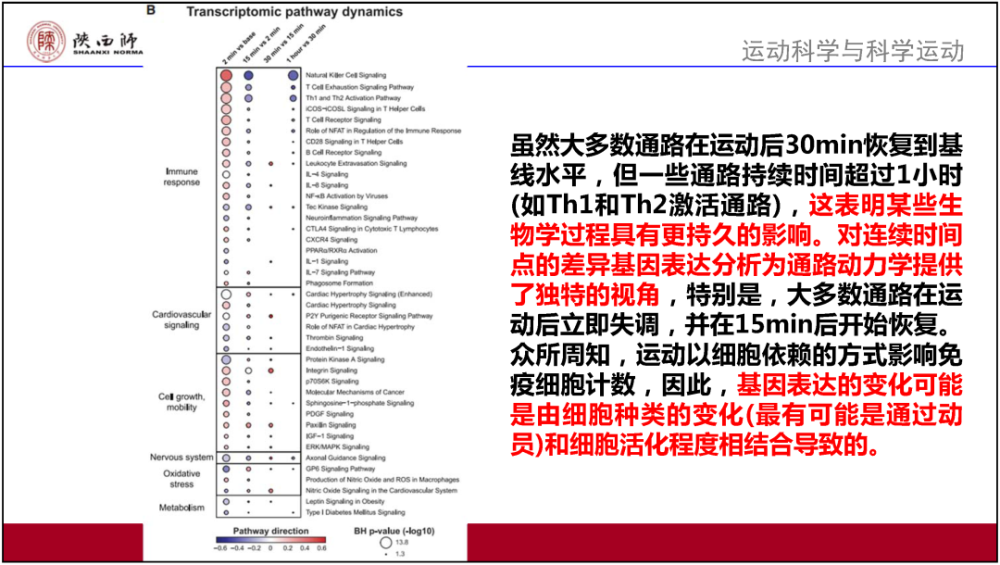 澳门六和合全年资料,全面分析解释定义_至尊版37.504