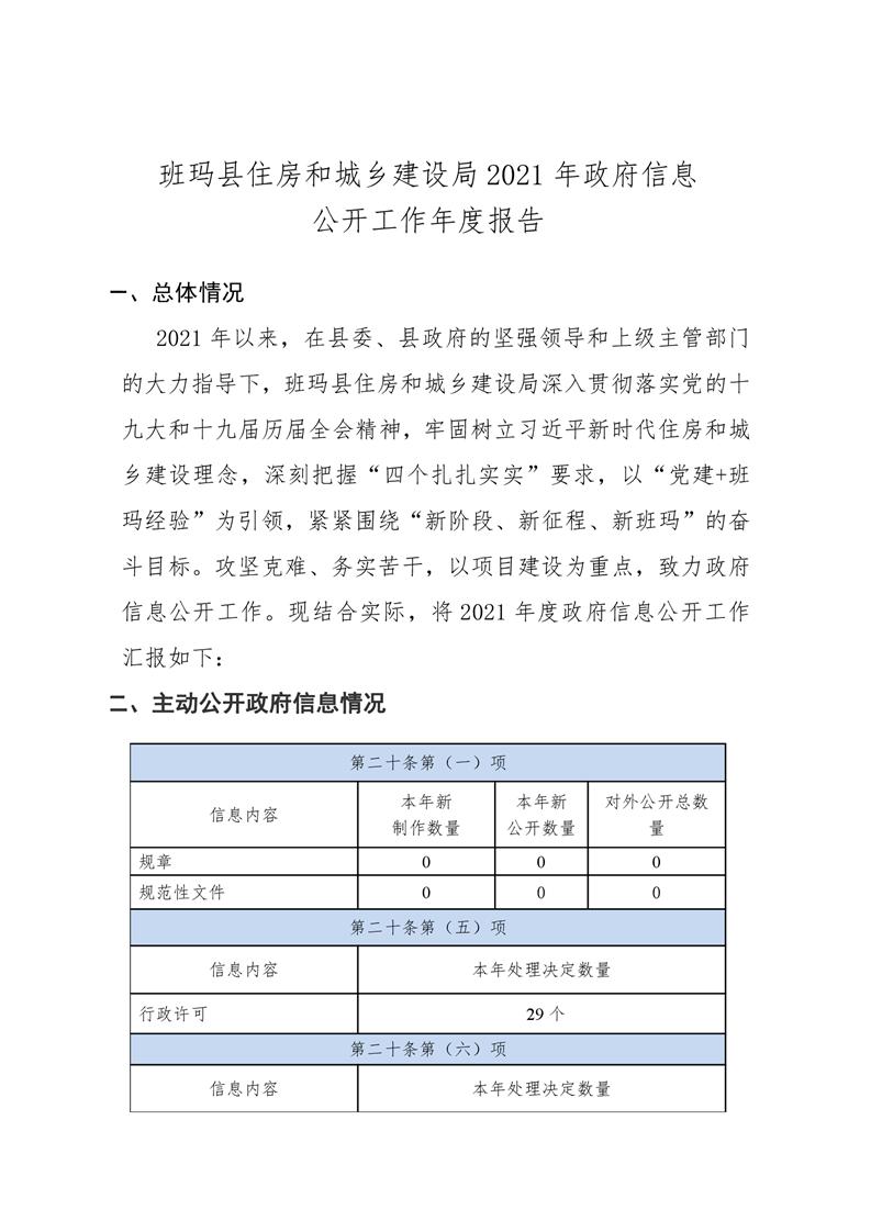 班玛县数据和政务服务局未来发展规划概览