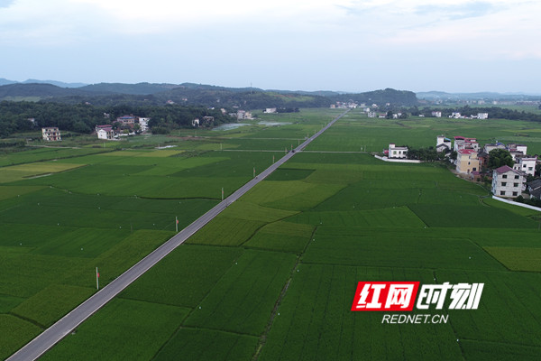 马坪村发展规划新动向