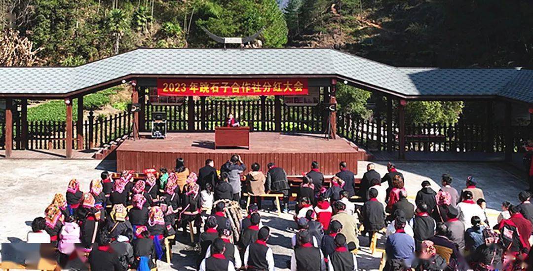 岭秀瑶族乡新项目，经济文化双翼齐飞，助力地方全面发展