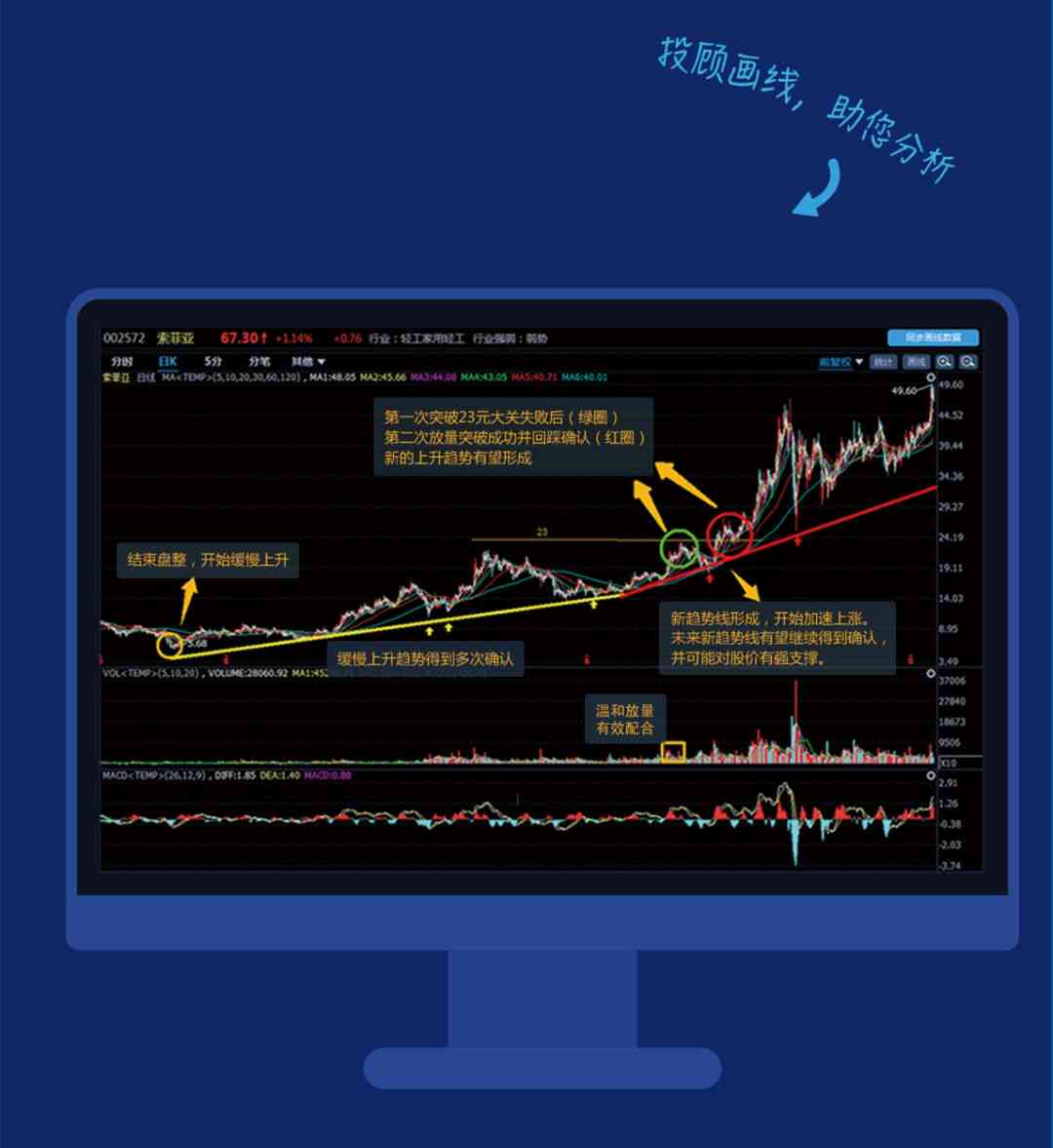 一肖一码,深层数据执行策略_MT58.242