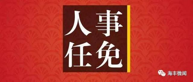 海丰县文化局人事任命动态解析