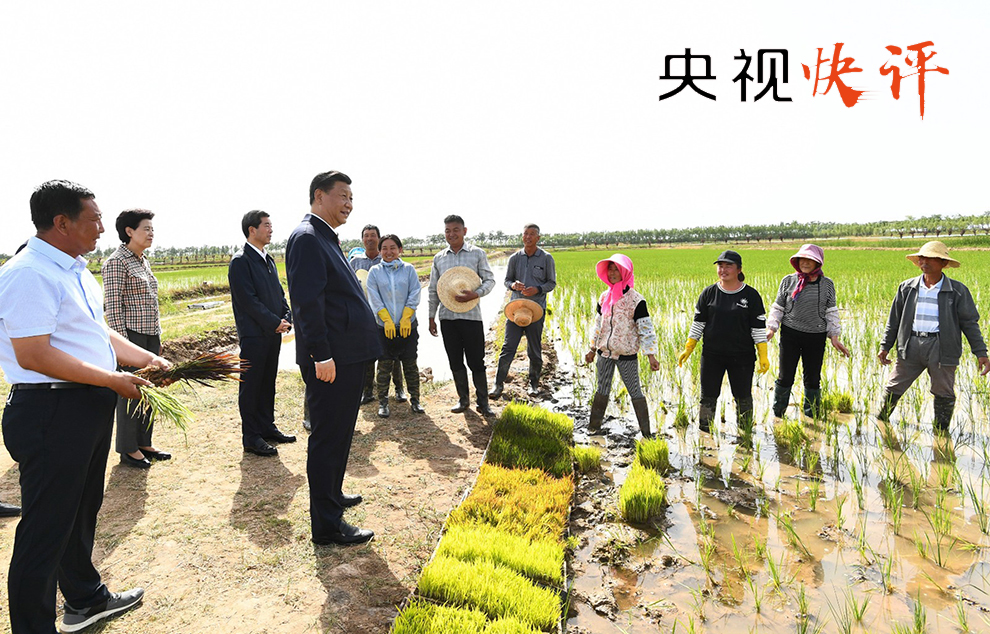 井滩村民委员会现代化交通新篇章揭晓，最新交通新闻引领未来发展方向