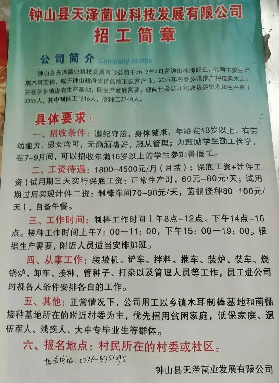 涵养林总场最新招聘信息详解及解读