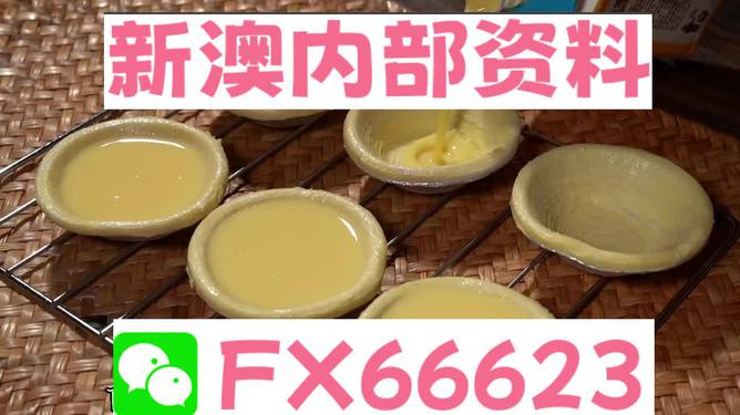 新澳精准资料免费提供510期,动态词语解释落实_纪念版96.724