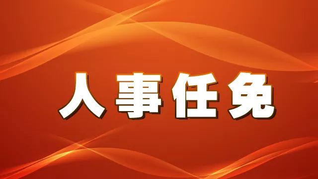 新电村人事任命动态及影响分析