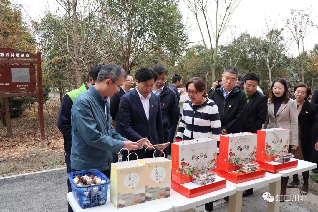 四川北路街道重塑社区活力，引领未来发展新篇章启动项目