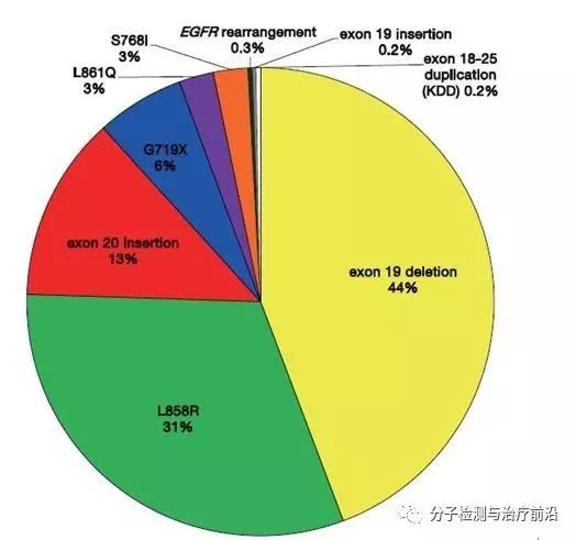 香港最准最精准免费资料,深入解析应用数据_影像版28.247