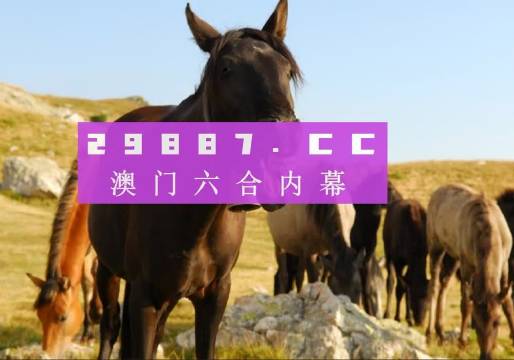 澳门四不像图,实效性解析解读策略_CT45.568