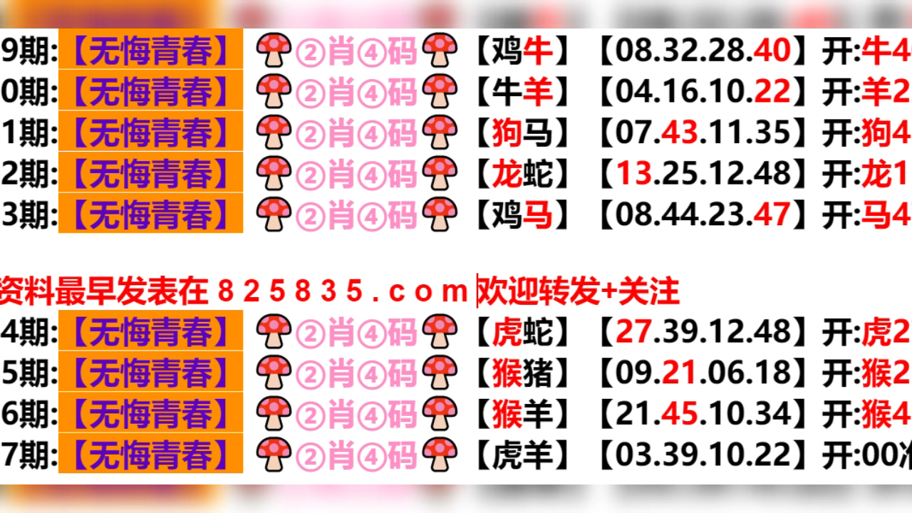 新奥门六开奖结果2024开奖记录,综合计划评估说明_Mixed22.472