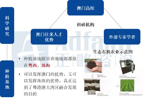 新澳免费资料精准大全,可持续发展实施探索_探索版82.883