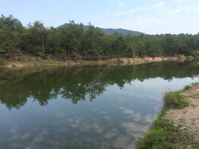 逆流°只是风景 第3页