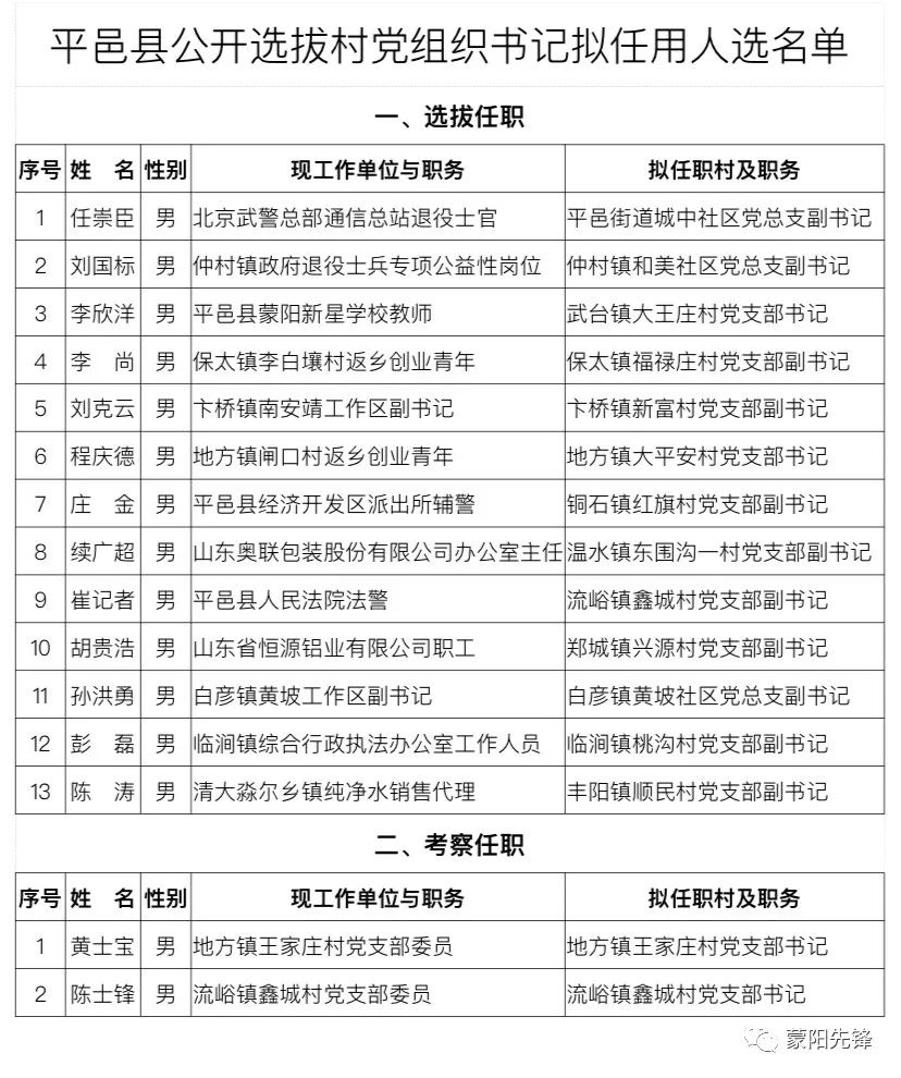 陈家庄村委会人事新任命，开启村庄发展新篇章