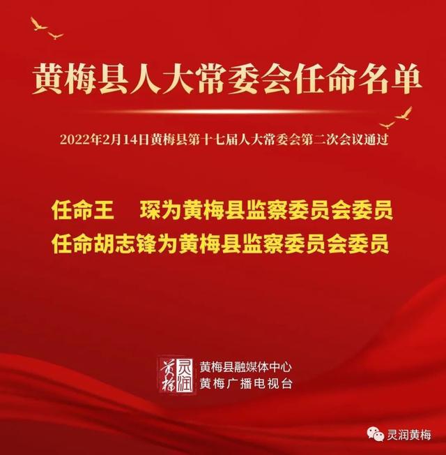 黄梅县人民政府办公室人事任命，塑造未来领导团队的重要一步