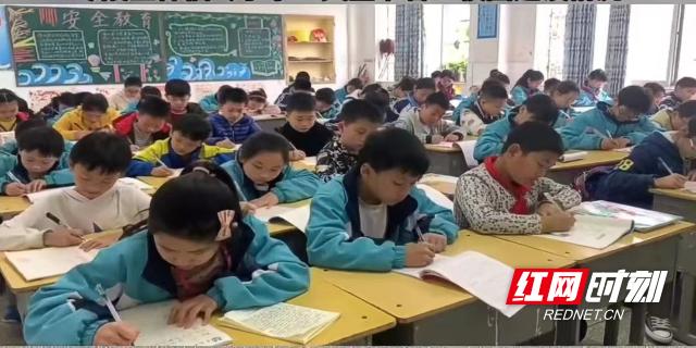 零陵区小学领导最新概览，新任领导团队一览表