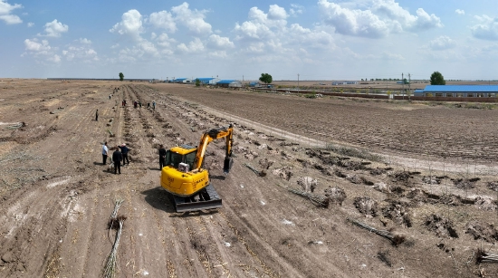 镇南种羊场新项目引领农业转型，助力地方经济腾飞