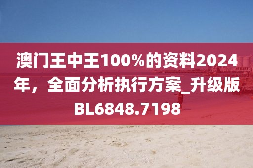 2024澳门王中王100%期期中,经济性执行方案剖析_旗舰版3.639