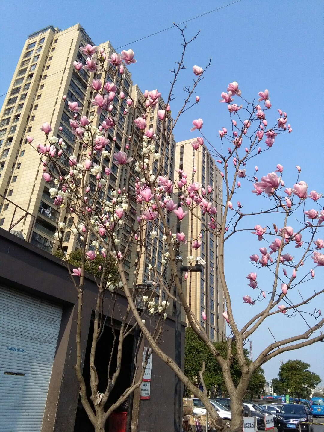 蒋王街道天气预报更新通知