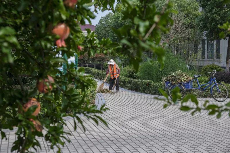 扬中市卫生健康局新项目，开启健康城市建设新篇章