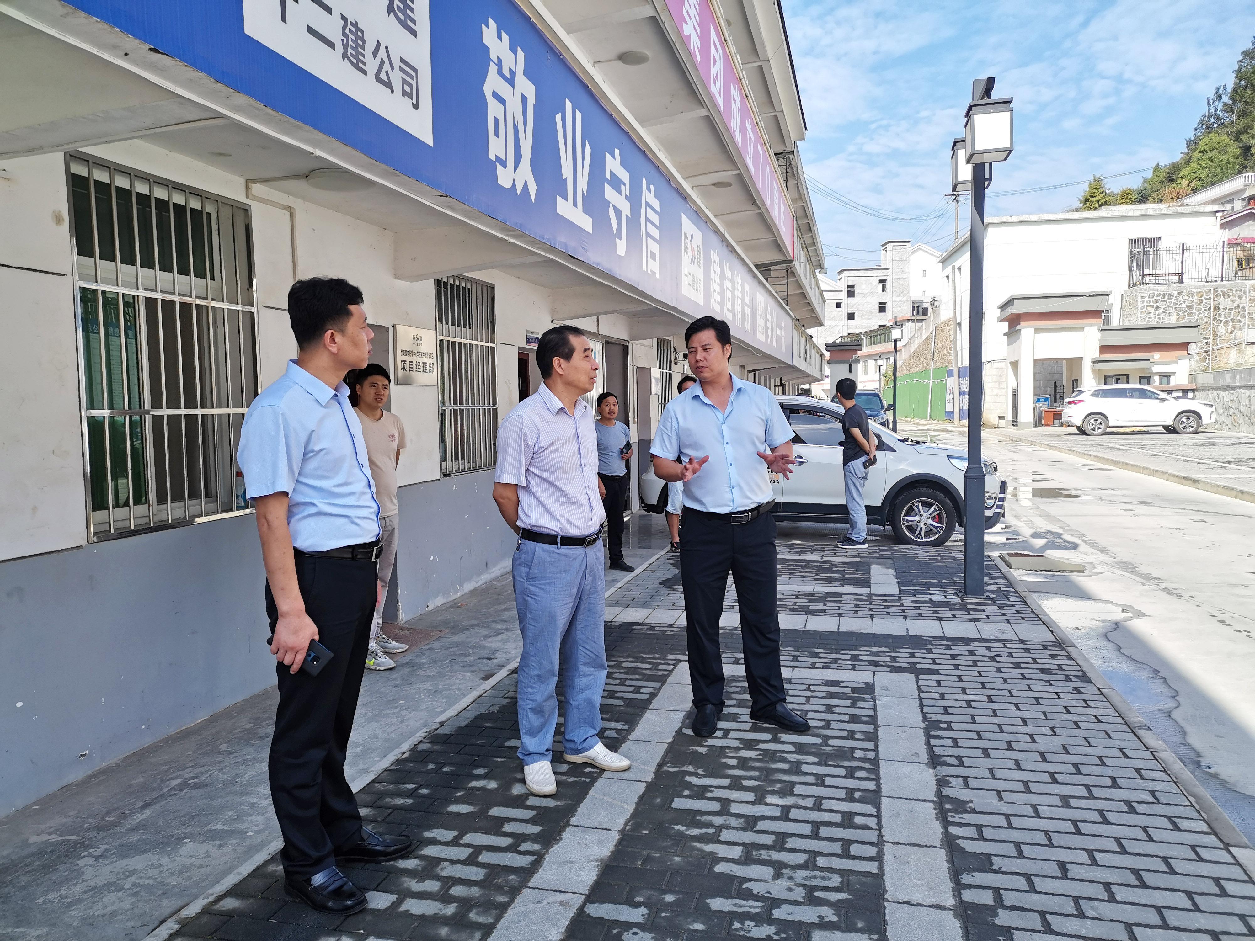 向阳镇发展规划，打造现代化繁荣宜居小城镇