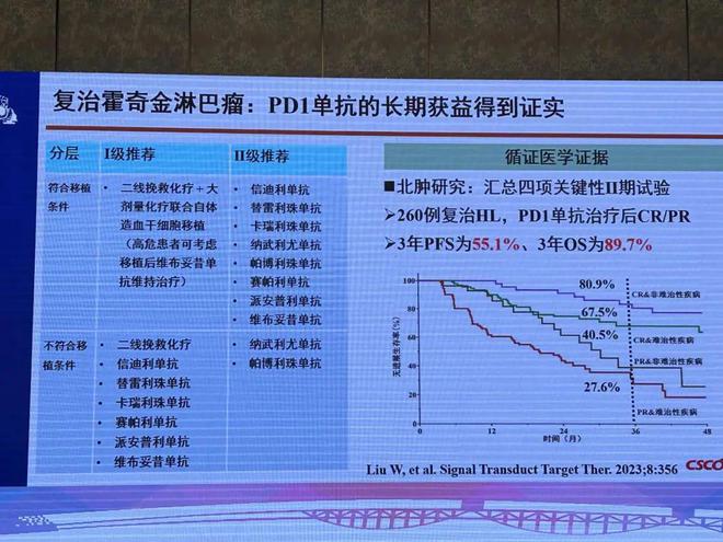 2024澳门最精准正版免费大全,实时更新解析说明_策略版35.181