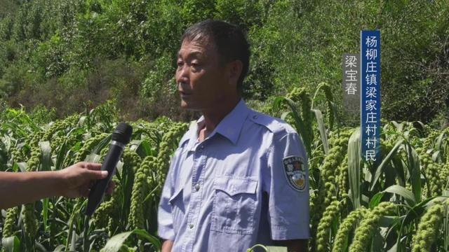 杨柳庄镇新任领导引领变革，塑造未来新篇章