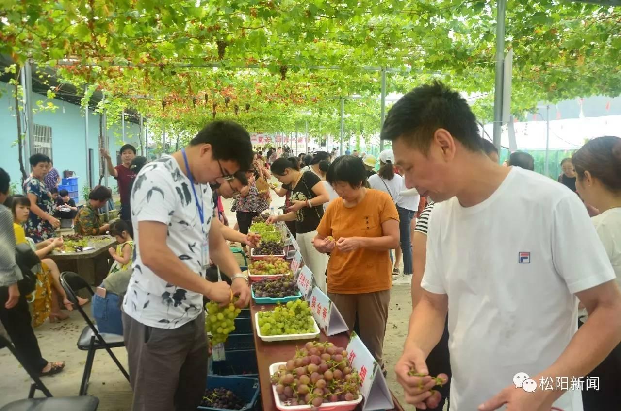 水南农场新项目，现代农业新标杆引领者