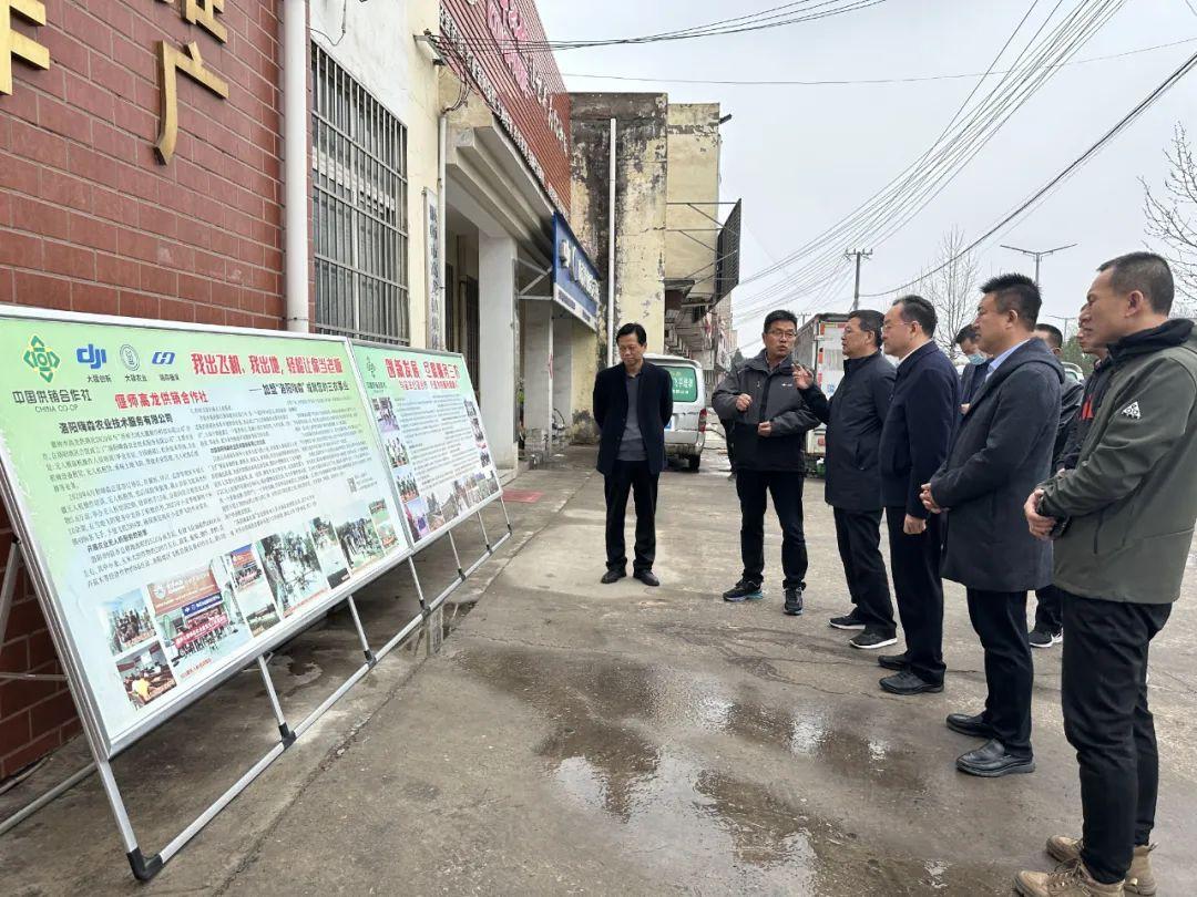 偃师市市场监督管理局发展规划，构建现代化市场监管体系新篇章