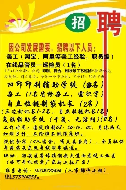 根子镇招聘信息更新与就业机遇展望，展望未来的职业道路