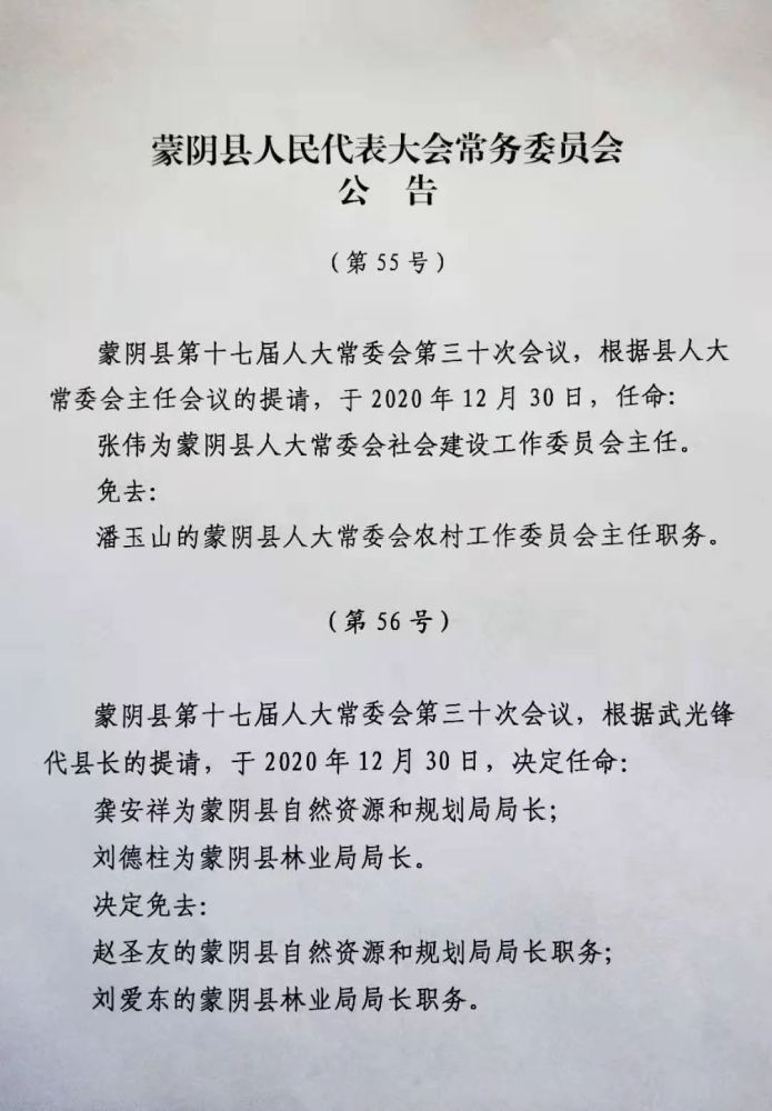 蒙阴县小学人事任命引领教育革新篇章