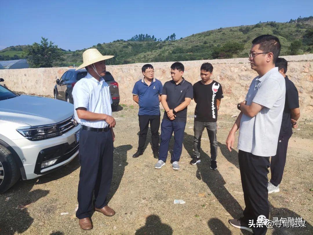 三岔河镇最新项目，引领地方发展的先锋力量