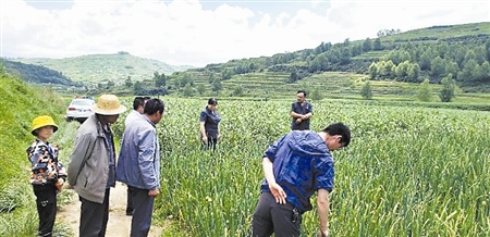 四方台子农场最新动态报道