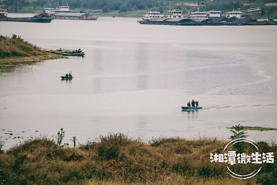 射埠镇最新项目，引领地方发展的强大动力源泉